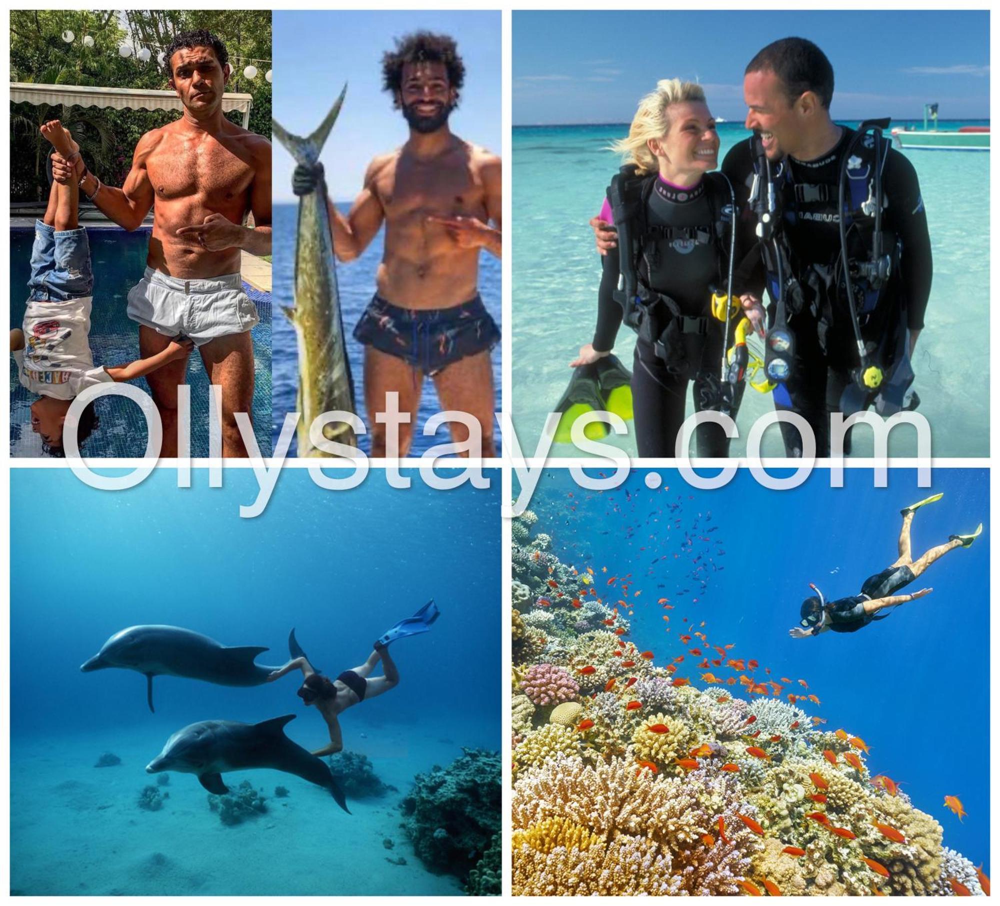 הורגהדה Ollystays Mangroovy 1 Bedroom Beach And Pool Free Access מראה חיצוני תמונה